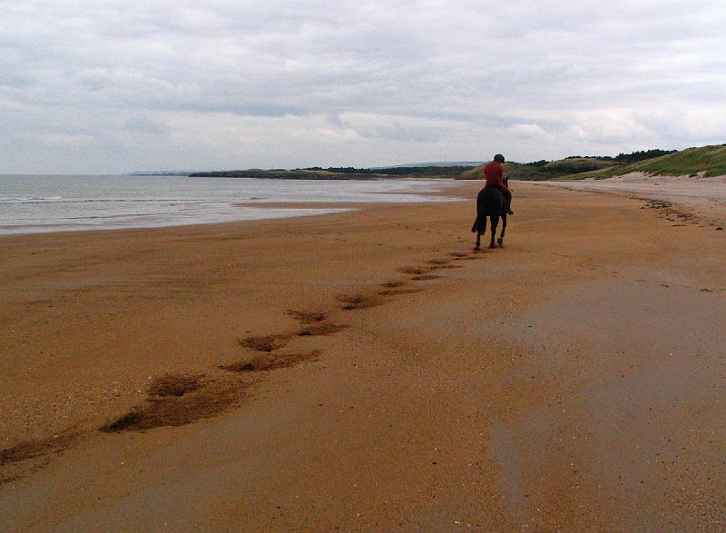 Riding on the beach.JPG